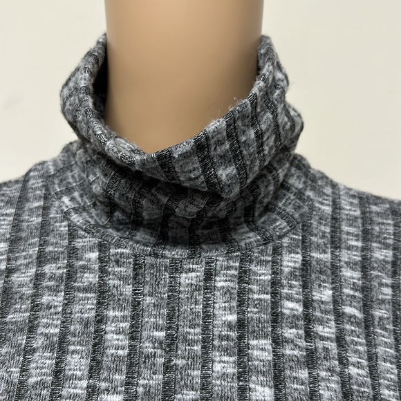 American Eagle Outfitters Slouchy Turtleneck - Picture 2 of 12